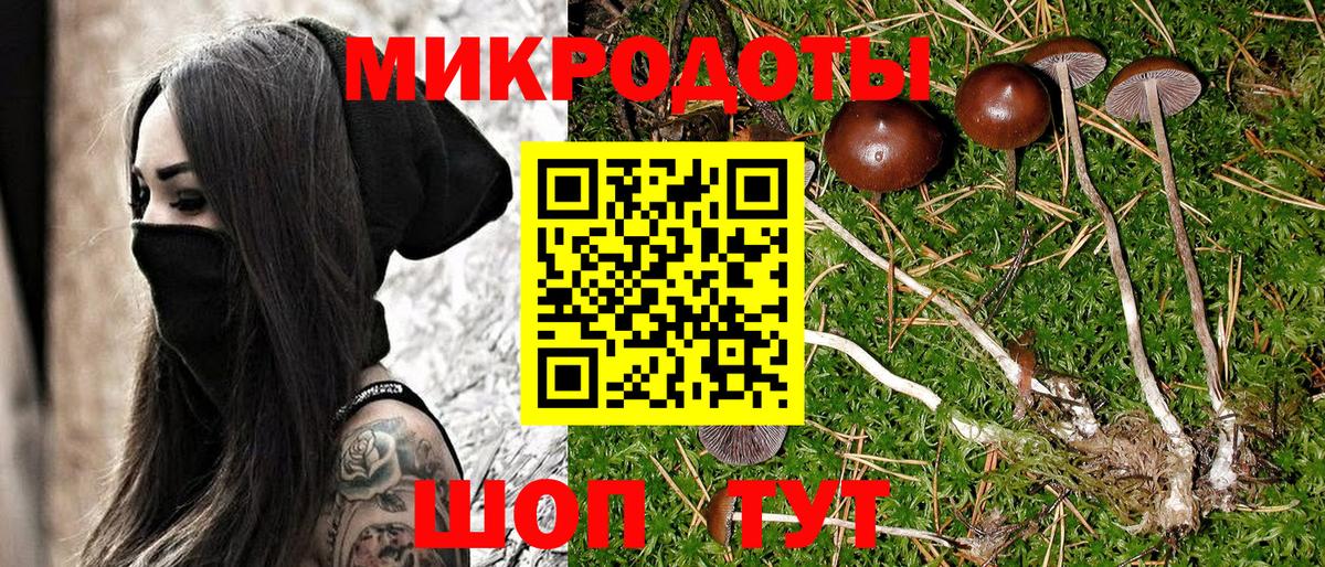 Галлюциногенные грибы MAGIC MUSHROOMS Магнитогорск