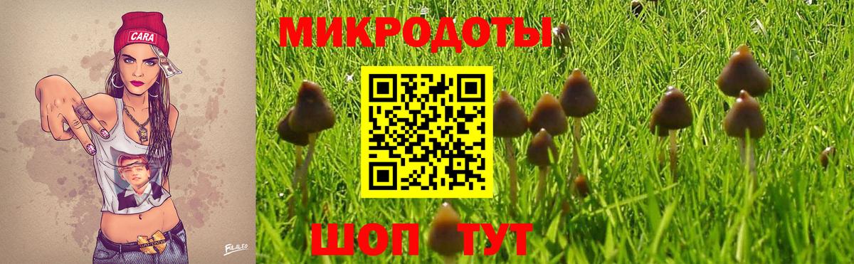 Псилоцибиновые грибы мухоморы  Галлюциногенные грибы мицелий  Вход с VPN  Магнитогорск 